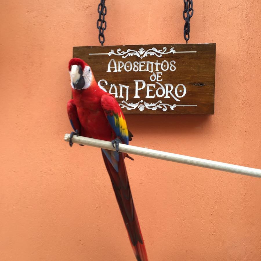 فندق Aposentos De San Pedro Cartagena المظهر الخارجي الصورة